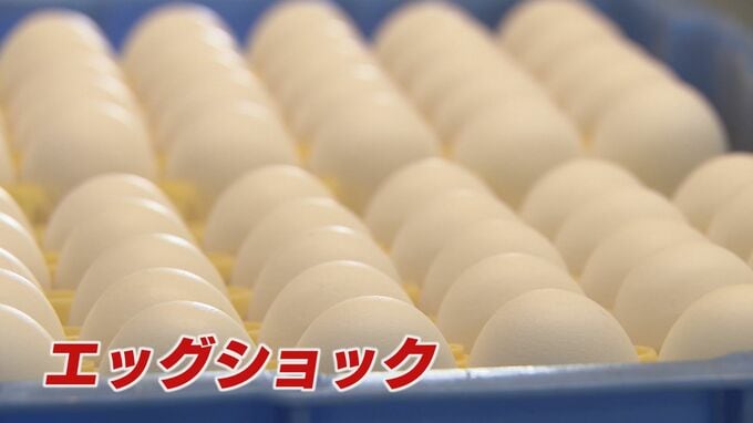 “エッグショック”広がる中で「物価高倒産」急増　背景には複雑な事情が…富山　|　富山のニュース｜天気・防災｜チューリップテレビ