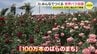 「福山市を世界的なばらの都市に」５月官民一体でつくる世界バラ会議開催へ　|　RCC NEWS | 広島ニュース | RCC中国放送