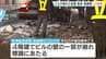 【ビル外壁崩落】「よう生きてたな」阪神高速の標識倒れてタクシーとぶつかる　高速道路・高麗橋入口の閉鎖続く「バラバラバラって…」ビルは近く補修工事の予定　大阪・中央区　　|　MBSニュース | 関西の最新ニュースを分かりやすく。
