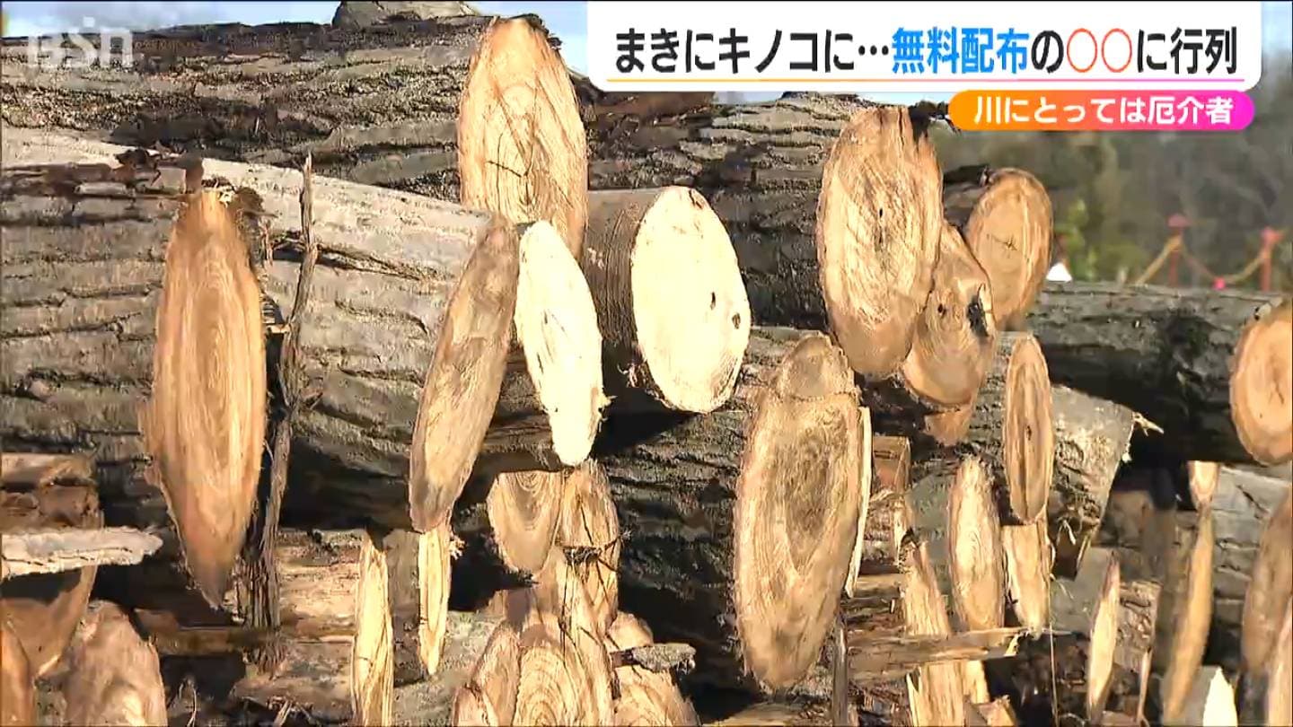 川の“厄介者”⇒無料配布で大人気!? 河川敷の『伐採木』を河川事務所が