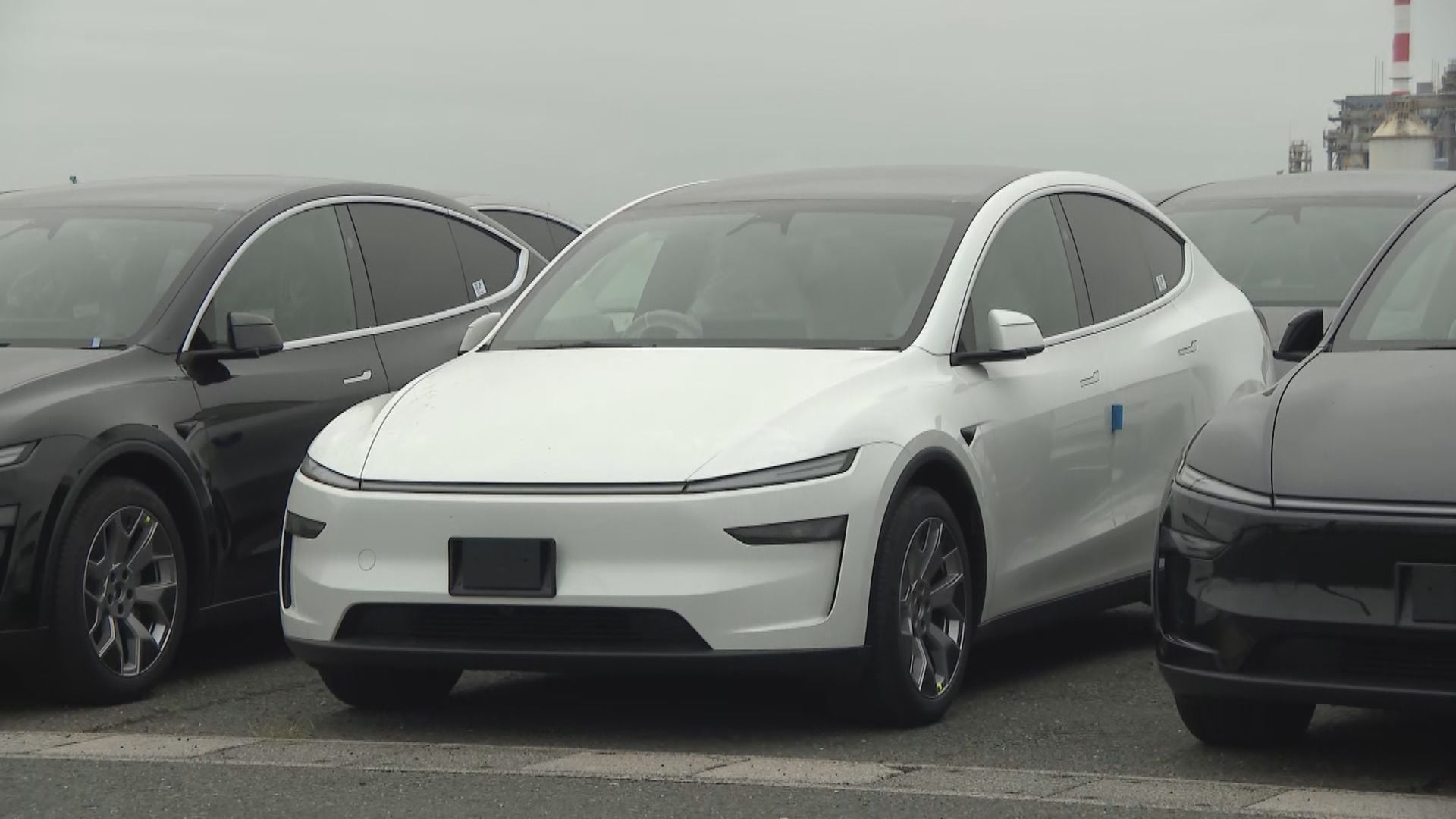 自動車輸入台数33年連続日本一の愛知・三河港 アメリカの電気自動車