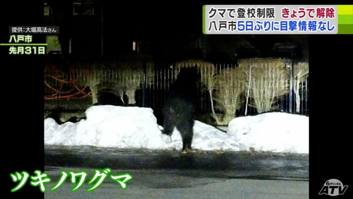 クマで登校制限4日で解除 八戸市は5日ぶりに目撃情報なし 青森県