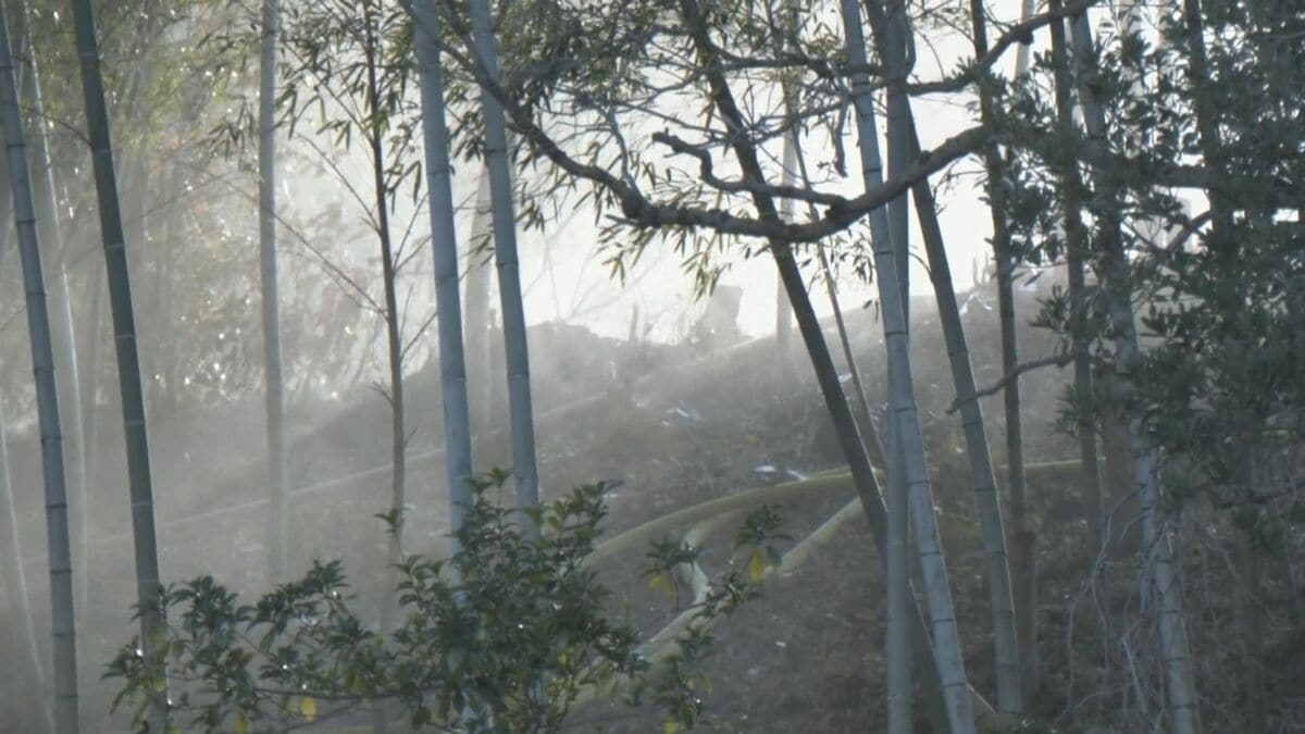愛知･岡崎市で山林火災 ｢山の方から煙があがっていて…｣ 消火活動続く