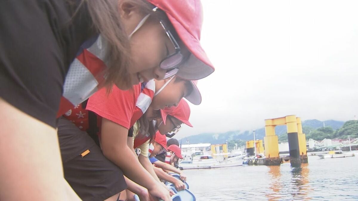 小学生がカサゴの稚魚600匹を放流…地元の水産業を学ぶ「豊かな海に戻って」漁獲量は20年前の4割に