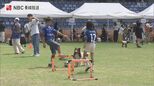 犬も参加者も大興奮！長崎市ピーススタジアムで初開催のドッグラン|TBS NEWS DIG