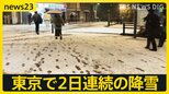 ひと味違う？雪の中での“一服”にアイス… 東京で2日連続の降雪　初めて雪を見た女性「寒くてもうれしい」 高速道路「予防的通行止め」で影響も【news23】|TBS NEWS DIG
