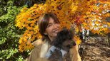 【工藤静香】「紅葉　なんて美しいのだろう」愛犬と秋の風景を満喫するオフショットを公開|TBS NEWS DIG