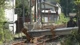 伐採作業のクレーン車が倒れJRの線路ふさぐ  愛媛・八幡浜市|TBS NEWS DIG