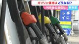 政府の補助金制度スタート さっそく10円値下げのガソリンスタンドも「ありがたい」「もっと下げて」【岡山】|TBS NEWS DIG