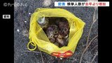サザエ、カキ密漁…件数減って人数増えた!県外からわざわざ密漁にやってくる違反者も…海水浴のついでか?海上保安部は取り締まり強化へ 富山湾|TBS NEWS DIG