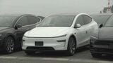  自動車輸入台数33年連続日本一の愛知･三河港 アメリカの電気自動車｢テスラ｣本格輸入始まる ｢ここから西日本をカバーしていく｣|TBS NEWS DIG