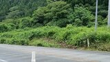 軽乗用車が道路のり面に衝突、男性1人が死亡 業務中の事故(山形) | 山形のニュース│TUYテレビユー山形