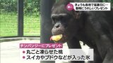 「しろくま食べたくなりました」宮崎市の動物園でチンパンジーにフルーツ入り氷のプレゼント | MRTニュース | MRT宮崎放送