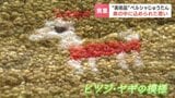 緊迫のイランから届いたペルシャじゅうたん　札幌で約300枚が並ぶ展示会開催　遊牧民の女性が織る、美しい模様に込められた静かな祈り|TBS NEWS DIG