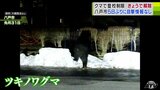 クマで登校制限４日で解除　八戸市は５日ぶりに目撃情報なし　青森県　|　青森のニュース│ATV NEWS│青森テレビ