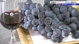 「2025年産ブドウの出来は良く、質の高いワインが期待できる」大迫のワイナリーで今年の仕込み作業始まる 岩手・花巻市|TBS NEWS DIG