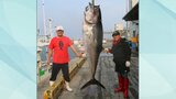 岩手・雫石町出身の歌手 福田こうへいさん 130キロのマグロ釣り上げる 「皆さまのお力添えに感謝」|TBS NEWS DIG