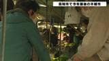高知市で今年最後の“木曜市” 正月用品買い求める人で賑わう | 高知のニュース・天気|KUTV NEWS | KUTVテレビ高知