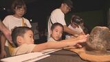 恐竜の世界に触れて夢を!「タッチ ザ ダイナソー」来場5万人達成 9月1日まで那覇市の県立博物館・美術館で|TBS NEWS DIG