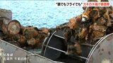 “鍋でもフライでも”カキ水揚げ最盛期「気温の低下で急成長し近年にない質の良さ」新潟・佐渡市|TBS NEWS DIG