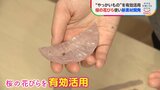 散ってしまった大量の桜の花びらを有効活用 「サクラチック」新たな素材をつくる取り組み【SDGs】|TBS NEWS DIG