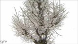 22日の夜遅くにかけて『警報級の大雪』短時間に積雪急増の恐れ|TBS NEWS DIG
