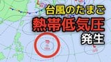 台風のたまご「熱帯低気圧」発生...日本への影響、今後の進路は?熱低の東には別の「反時計回りの渦」も...29日(月)までの雨風シミュレーション&全国各都市の週間予報で確認、新たな台風情報・気象情報に注意【気象庁天気図19日】|TBS NEWS DIG