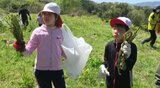 【山菜シーズン】「大きいのも採れて、うれしかった！」信州・飯田市の小学校児童が「ワラビ採り」1時間ほどで約10キロ採れた！　|　SBC NEWS | 長野のニュース | SBC信越放送