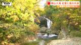 関山大滝 紅葉と滝の共演が見ごろに(山形) | 山形のニュース│TUYテレビユー山形