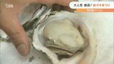 プリプリでミネラルたっぷり 旬を迎えた岩ガキ | 大分のニュース|OBS NEWS|大分放送