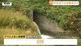 県内クマ目撃続く…鶴岡市熊出（くまいで）でもクマ　山形空港そばにもクマ　きのうは人が襲われる事案も（山形）|TBS NEWS DIG