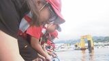 小学生がカサゴの稚魚600匹を放流…地元の水産業を学ぶ「豊かな海に戻って」漁獲量は20年前の4割に|TBS NEWS DIG