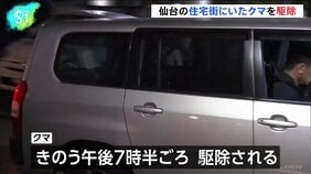 住宅街にいたクマ、緊急銃猟し駆除 けが人なし　仙台市中心部近く|TBS NEWS DIG