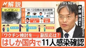 【医師が解説】はしか 国内で11人感染確認、はしかワクチン 2回目必要？ 副反応は？【Nスタ解説】|TBS NEWS DIG