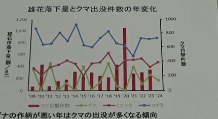 【くまいずみ】〜4月・5月分お取り置き②〜 墓参りのお供え物がクマの餌に。持ち帰って」ツキノワグマ出没対応で
