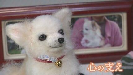少しでも元気を」ぬいぐるみで愛犬を再現 ペットロスの人たちの心を癒