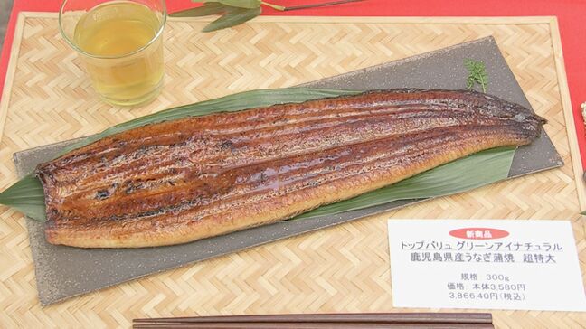 うなぎ豊漁で“大型サイズ”去年より500円安く店頭に…「土用の丑の日」商戦前に大手スーパー・イオンリテールで|TBS NEWS DIG