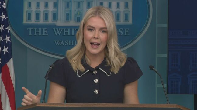 レビット報道官　米ロ首脳会談での停戦合意に否定的な考え示す　会談場所はアンカレジ・対面形式で|TBS NEWS DIG
