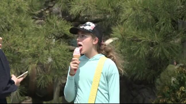 観光客は「暑い。異常だよ」 春の陽気の石川県内はぐんぐん気温が上昇 3地点で最高気温25度以上の夏日に|TBS NEWS DIG