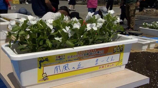 「宮崎国スポ・障スポ」を花で彩ろう　日南市で「花いっぱい運動」始まる|TBS NEWS DIG