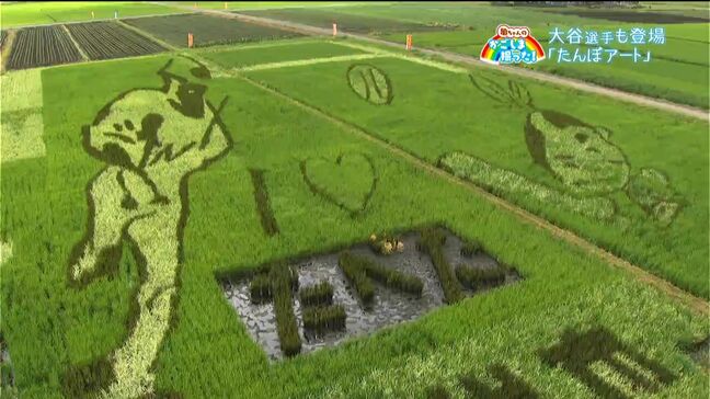 大谷選手が田んぼアートに! 南九州市・鹿児島【亀ちゃんのかごしま撮った!】|TBS NEWS DIG
