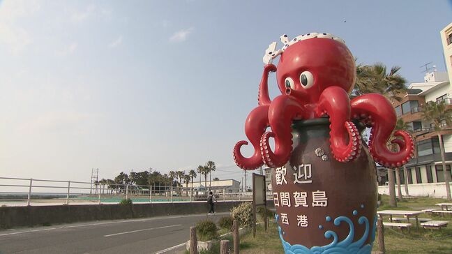 名物のタコが激減…漁師「死活問題」若手漁師が新たな名物生み出そうと「魚のブランド化」に挑戦 日間賀島|TBS NEWS DIG