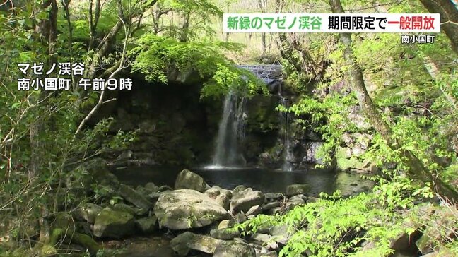 年に2回だけのチャンス 熊本・南小国町「マゼノ渓谷」一般開放中 ゴールデンウィーク期間限定|TBS NEWS DIG