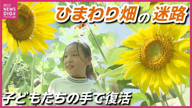 11年ぶりに子どもたちの手で復活「ひまわり畑の迷路」生まれる前にあった夏の風物詩|TBS NEWS DIG
