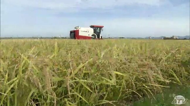 2026年の青森県全体の「コメ生産数量目標」は過去最高の約27万トンに　作付面積は4万4747ヘクタール　生産数量・作付面積ともに目標設定をはじめた2018年以降で最大に|TBS NEWS DIG