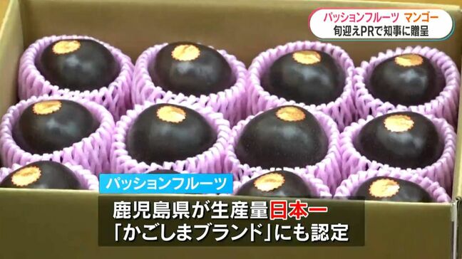 JAそお鹿児島がパッションフルーツとマンゴーを知事に贈呈|TBS NEWS DIG