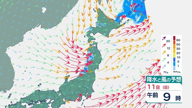 【暴風に警戒】最大瞬間風速31.6メートル(山形・小国) 気圧の谷の影響で西より暴風 警報級の高波となる可能性も…|TBS NEWS DIG