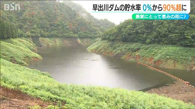 サトイモ畑に“めぐみの雨”『早出川ダム』の貯水率が0％から94.4％超に「葉がイキイキしている」新潟県五泉市|TBS NEWS DIG