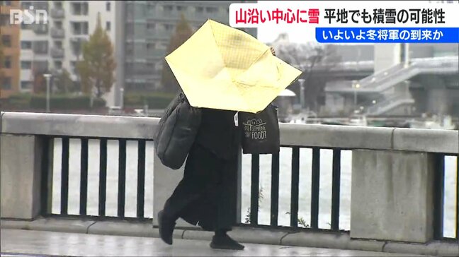 山沿いを中心に“平地”でも 19日にかけて積雪や路面の凍結による交通障害に注意　新潟県内 冬型に|TBS NEWS DIG