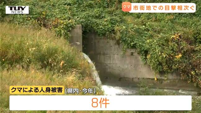 県内クマ目撃続く…鶴岡市熊出（くまいで）でもクマ　山形空港そばにもクマ　きのうは人が襲われる事案も（山形）|TBS NEWS DIG